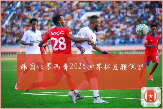 韩国vs墨西哥2026世界杯后腰保护