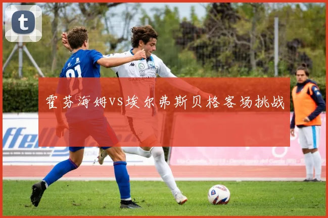 霍芬海姆vs埃尔弗斯贝格客场挑战